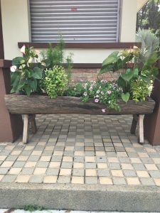 Hollowed-out log used as a planter box