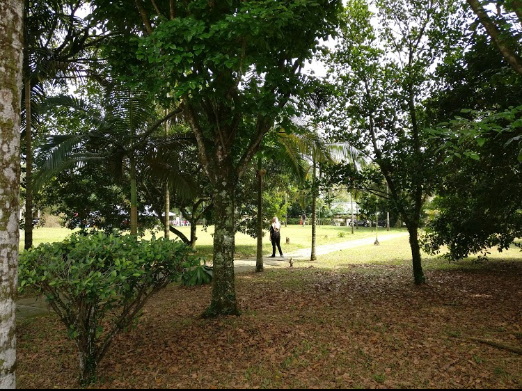 My Fave Sport being Extreme Sports Leaf Blogazine